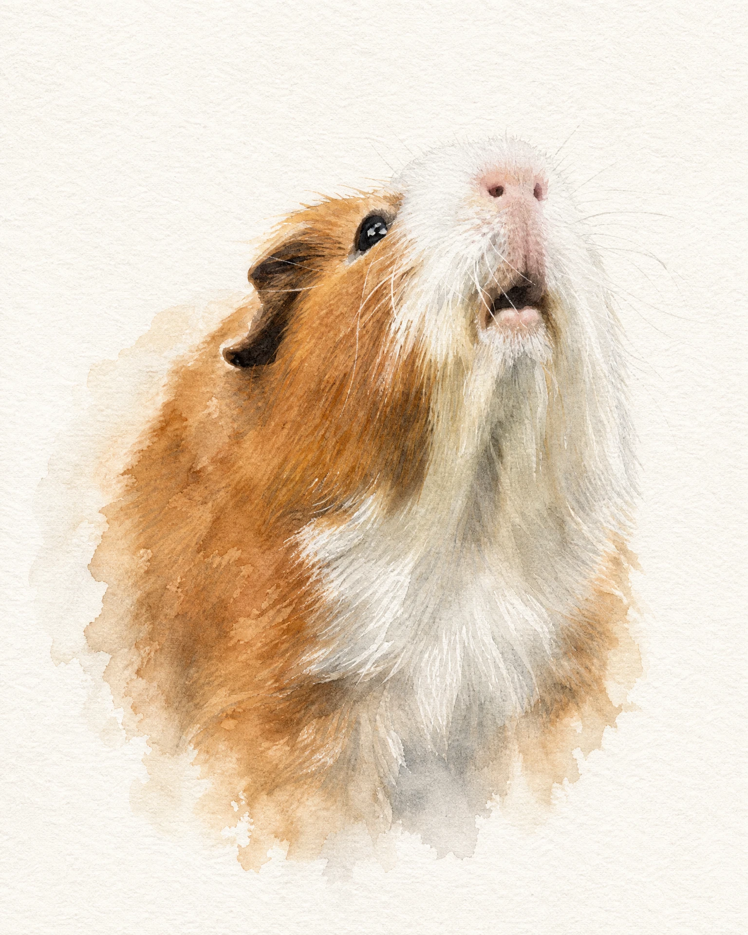 Guinea pig in Soft Watercolour — rendered artwork